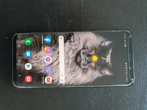 Zdjęcie oferty: Samsung s9 plus (super stan) 2 etui gratis