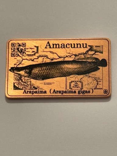 Zdjęcie oferty: Arapaima. Ryby Amazonki. Miedź 41 X 24 mm. 2016 Gyges