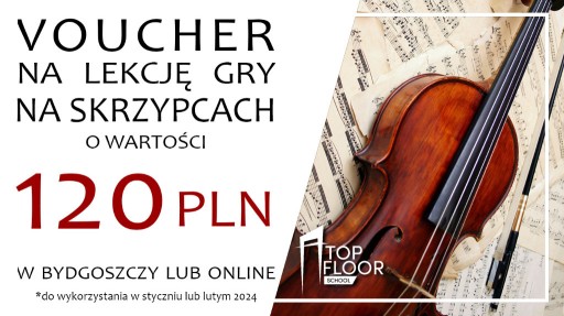 Zdjęcie oferty: VOUCHER na indywidualną lekcję gry na skrzypcach