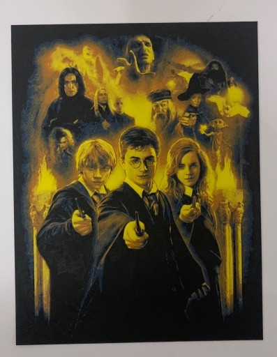 Zdjęcie oferty: obraz ala Harry Potter 22x17 litografia 3D