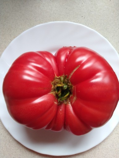 Zdjęcie oferty: Pomidor Malinówka  Stara Odmiana 