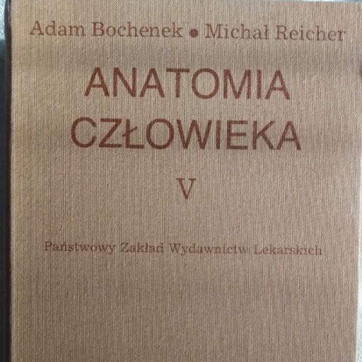 Zdjęcie oferty: Anatomia człowieka t.V  A. Bochenek ; M.Reicher