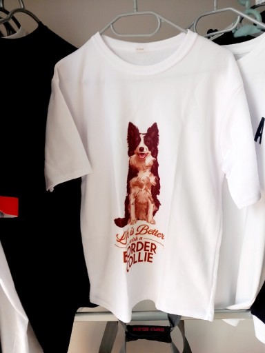 Zdjęcie oferty: Koszulka t-shirt border collie XXL