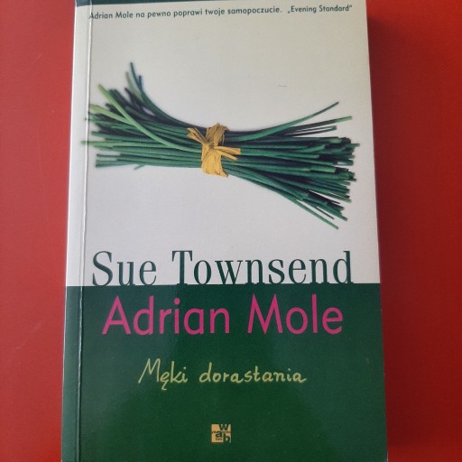 Zdjęcie oferty: Męki dorastania Sue Townsend