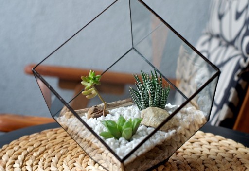 Zdjęcie oferty: Cube -Doniczka - terrarium - dla roślin i dekoru. 