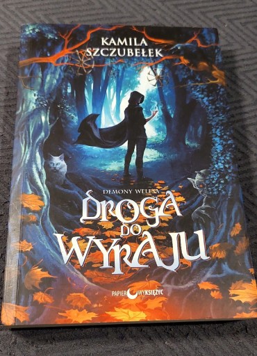 Zdjęcie oferty: Droga do wyraju- Kamila Szczubełek 