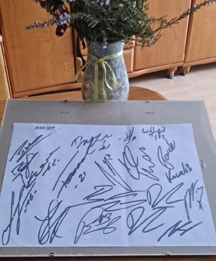 Zdjęcie oferty: Autografy reprezentacji Polski w piłce siatkowej ,