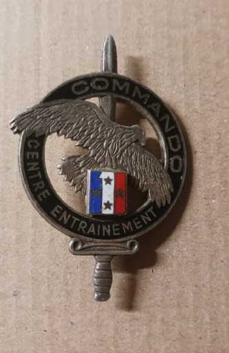 Zdjęcie oferty: Odznaka francja 