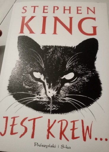 Zdjęcie oferty: Stephen King "jest krew" 