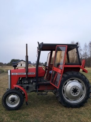 Zdjęcie oferty: Ciągnik rolniczy Ursus MF 255
