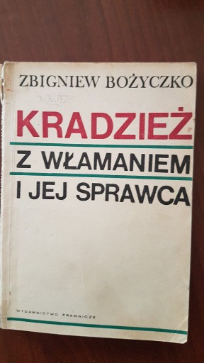 Zdjęcie oferty: Kradzież z włamaniem i jej sprawca