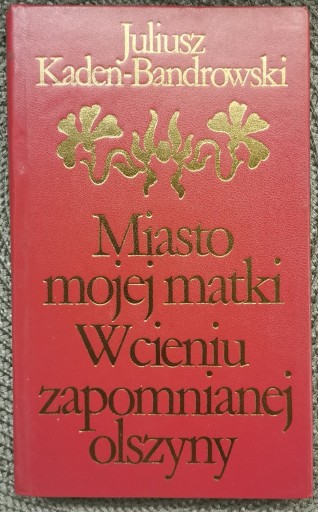 Zdjęcie oferty: Miasto mojej matki W cieniu... J. Kadeń-Bandrowski, 1976