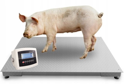 Zdjęcie oferty: Waga  Inwentarzowa do bydła zwierząt świń 3t 5t