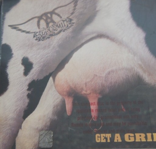 Zdjęcie oferty: 1b131. AEROSMITH GET A GRIP ~ USA