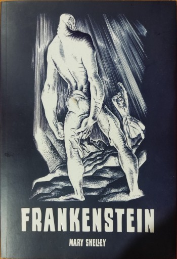 Zdjęcie oferty: Mary Shelley - Frankenstein