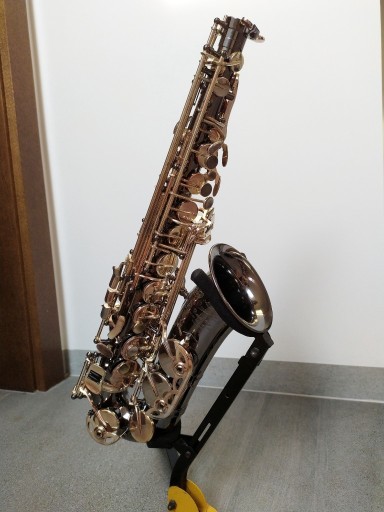 Zdjęcie oferty: Saksofon altowy P.mauriat PMA-500BX