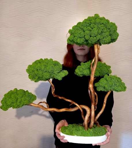 Zdjęcie oferty: Duże Drzewko Bonsai.Mech Chrobotek.Dekoracje Wnętrz. Prezent 