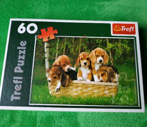 Zdjęcie oferty: Trefl puzzle 60 pieski Małe Beagle