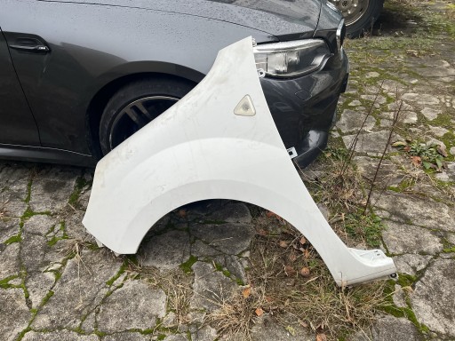 Zdjęcie oferty: Błotnik lewy przód biały Renault Kangoo II