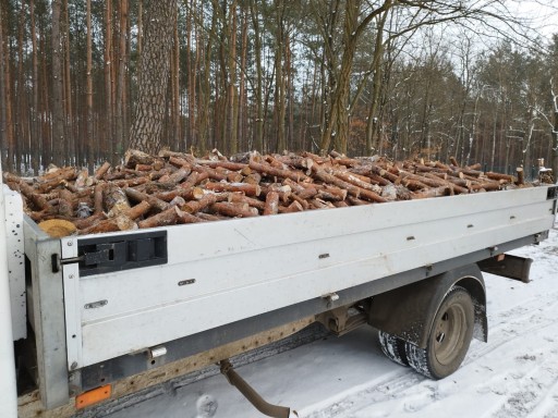 Zdjęcie oferty: Drewno Drzewo na opał Sosna przyczepa