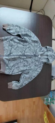 Zdjęcie oferty: Bluza dla chłopca 122