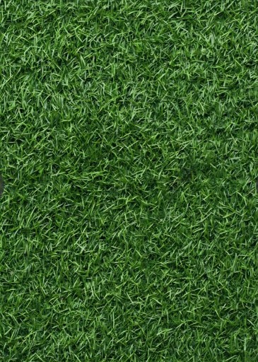 Zdjęcie oferty: Trawa sztuczna miękka w rolce 4m x 1 m