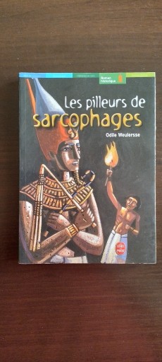 Zdjęcie oferty: Książka Les pilleurs de sarcophages 