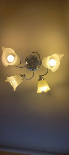 Zdjęcie oferty: Żyrandole kinkiety i inne