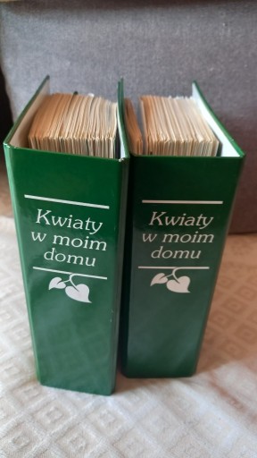 Zdjęcie oferty: KWIATY W MOIM DOMU