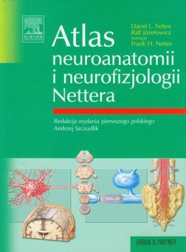 Zdjęcie oferty: Atlas neuroanatomii i neurofizjologii Nettera