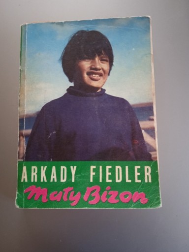 Zdjęcie oferty: Arkady Fiedler Mały Bizon