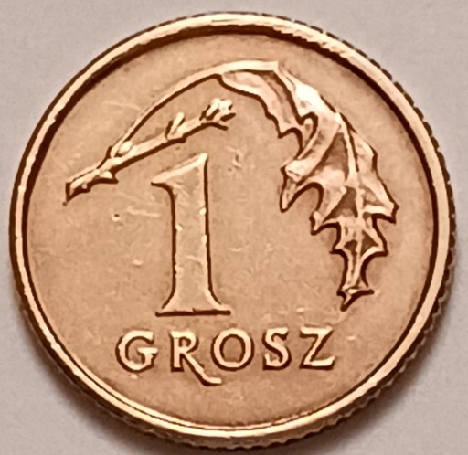 Zdjęcie oferty: 1 gr grosz 1993 r. 