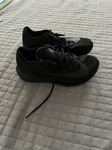 Zdjęcie oferty: Buty Nike Zoom Fly Sp rozmiar 42