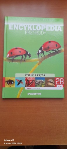 Zdjęcie oferty: Encyklopedia przyrody tom 28 Owady - chrząszcze