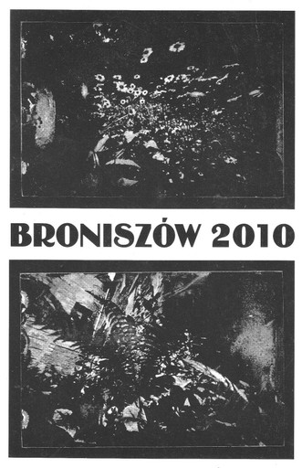 Zdjęcie oferty: Broniszów 2010, Salon zaproszonych (24)