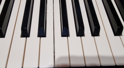 Zdjęcie oferty: Yamaha Sy22 35 55 AN1X cs6X MO6  ..KLAWISZ 