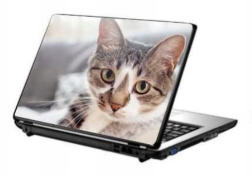 Zdjęcie oferty: laptop | HP Chromebook 14 G3|zasilacz|9h!!!|skin80