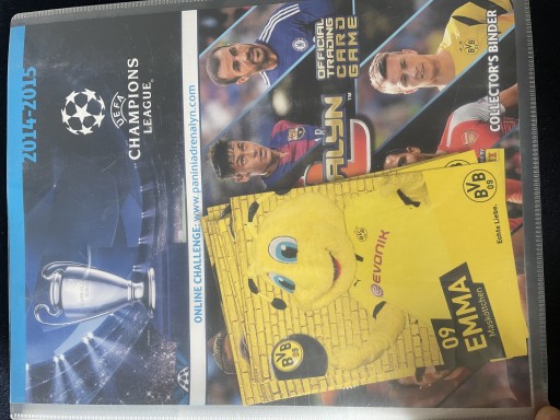 Zdjęcie oferty: album kart piłkarzy