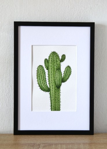 Zdjęcie oferty: Kaktus roślina obraz ręcznie malowany akwarela A5