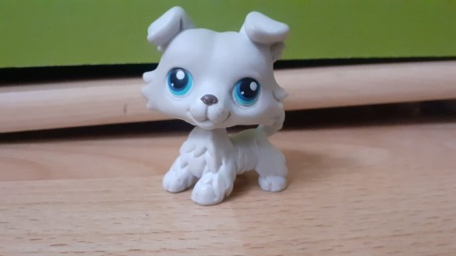 Zdjęcie oferty: ORYGINAŁ ! Lps collie pop littlest pet shop pop 