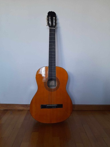 Zdjęcie oferty: Gitara klasyczna Rosario C-6 (ZESTAW)