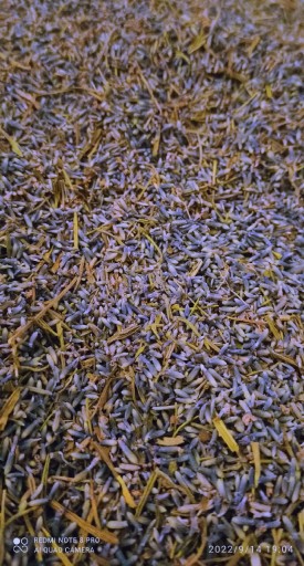 Zdjęcie oferty: Kwiat lawendy herbata lawendowa 100g