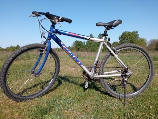 Zdjęcie oferty: Giant Boulder Alu Lite