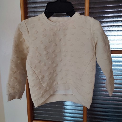 Zdjęcie oferty: Bluza H&M roz 2-3 roki