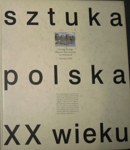 Zdjęcie oferty: SZTUKA POLSKA XX WIEKU