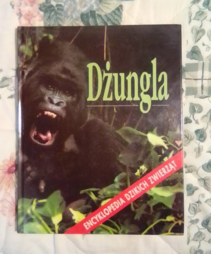 Zdjęcie oferty: Dżungla Encyklopedia Dzikich Zwierząt ŚwiatKsiążki
