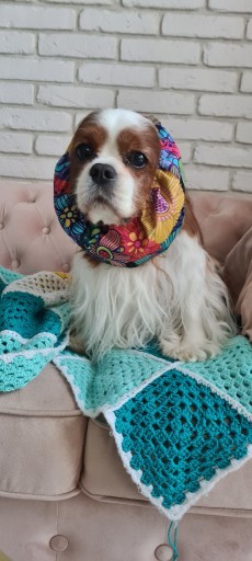 Zdjęcie oferty: Snood FLOWERS  Cavalier Hug me