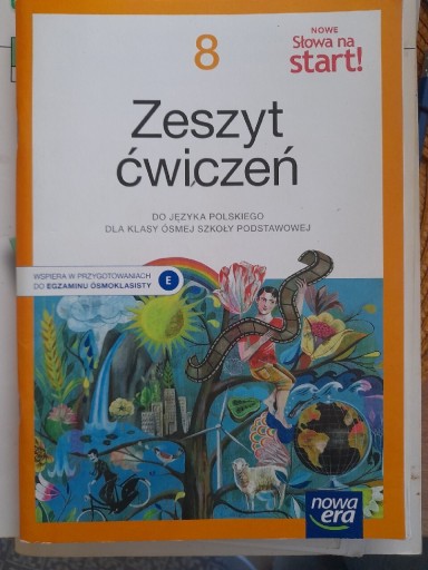 Zdjęcie oferty: ZESZYT ĆWICZEŃ DO J POLSKIEGO KLASA 8 NOWA ERA