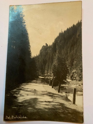 Zdjęcie oferty: Stara pocztówka Tatry Dolina Kościeliska 1921r