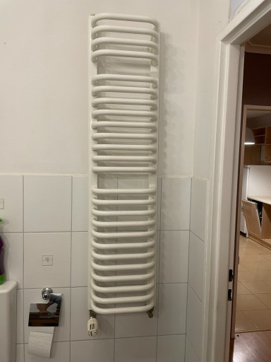 Zdjęcie oferty: Kaloryfer/grzejnik łazienkowy